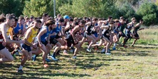 Men's XC Run in Maine State Cross Country Championship at Colby